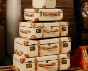 A Nuisance, A Passenger, A Piece of Luggage A Nuisance, A Passenger, A Piece of Luggage