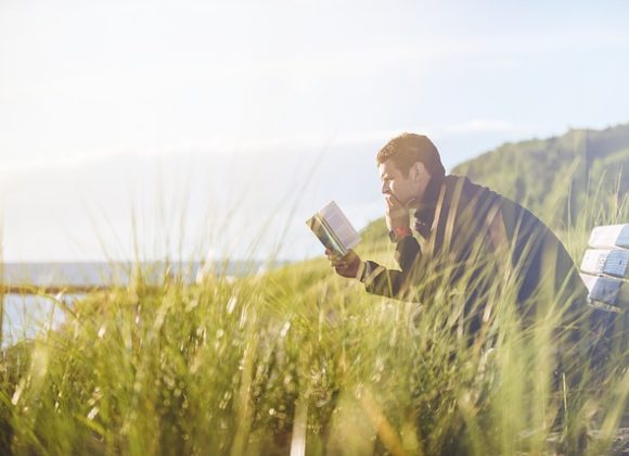 Book Recommendations from December