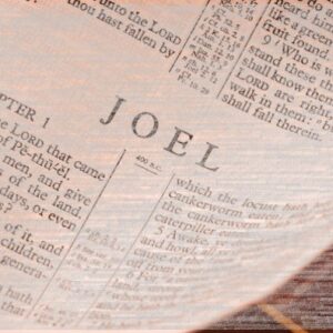 Joel 1:4-7 