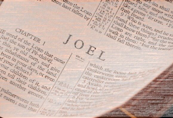 Joel 2:4-11
